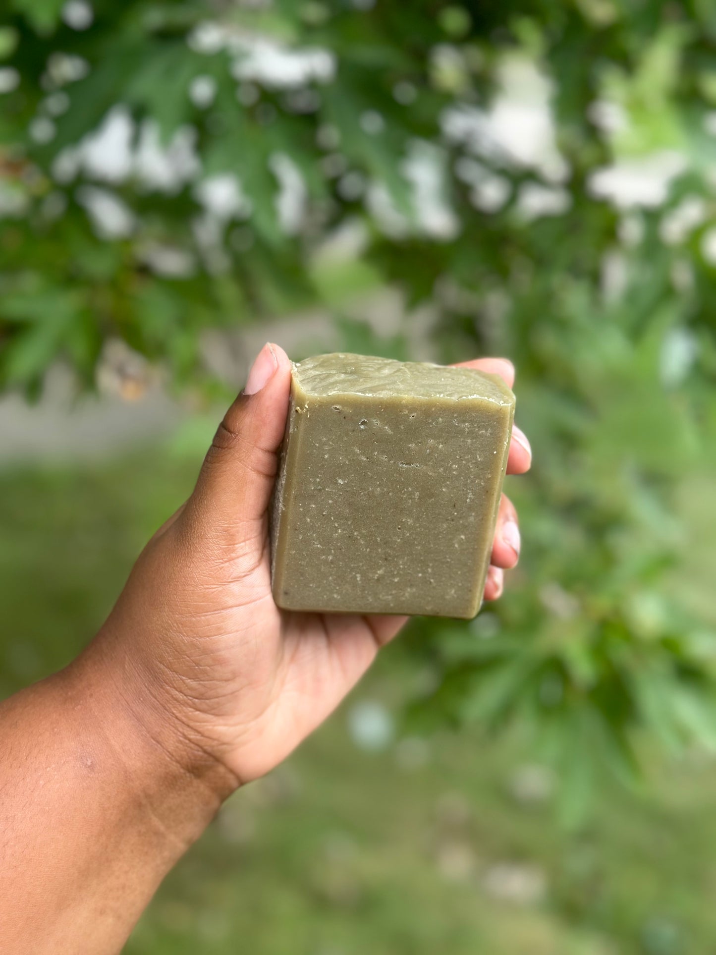 Aloecado & Milk Handmade Soap